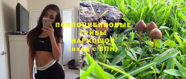 ешки Богданович