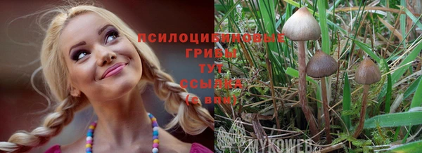 ешки Богданович