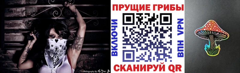 Псилоцибиновые грибы Psilocybe blacksprut вход Брюховецкая