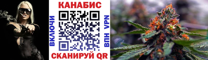 Канабис планчик  закладка  Брюховецкая 